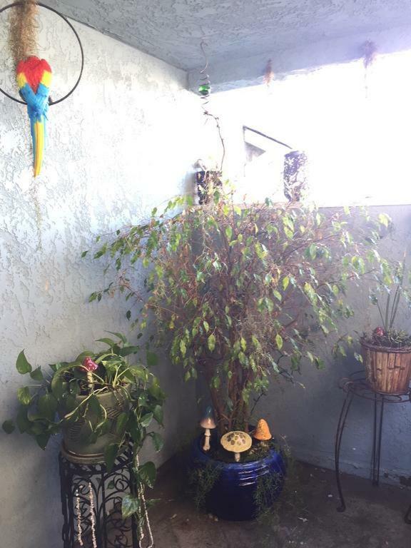 Pacific Beach Butterfly Suite San Diego Esterno foto