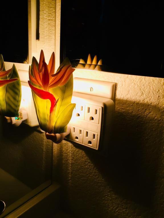 Pacific Beach Butterfly Suite San Diego Esterno foto